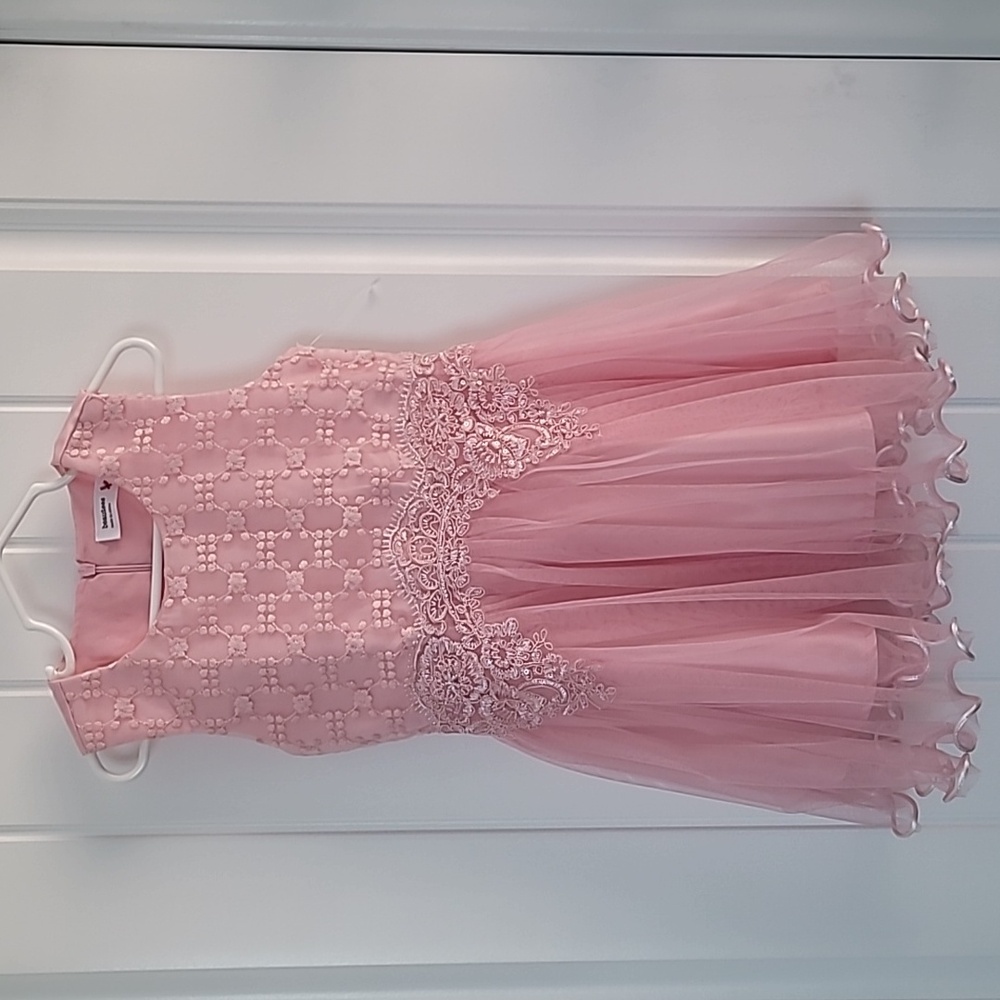 Pink Lace and Tulle Dress